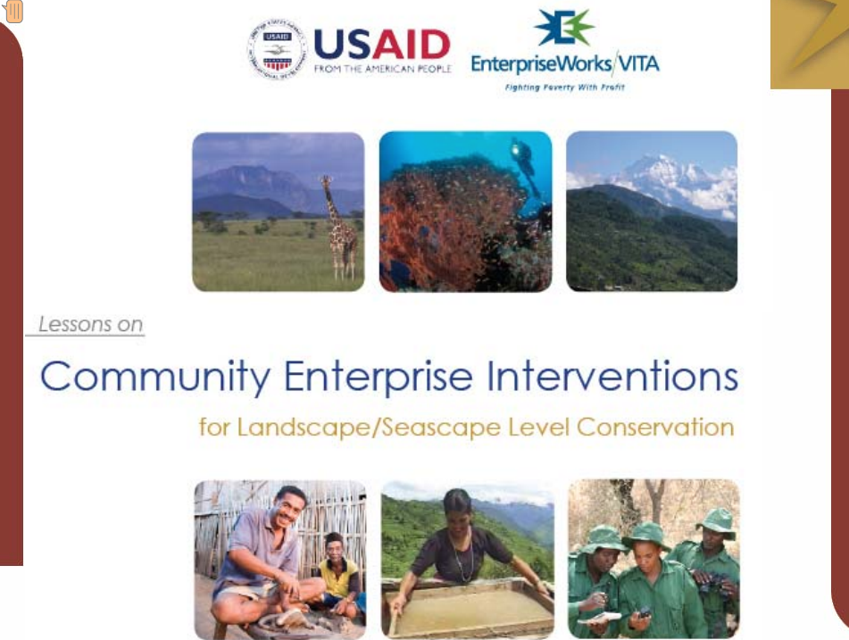 Community-Enterprise-Interventions-Powerpoint.png