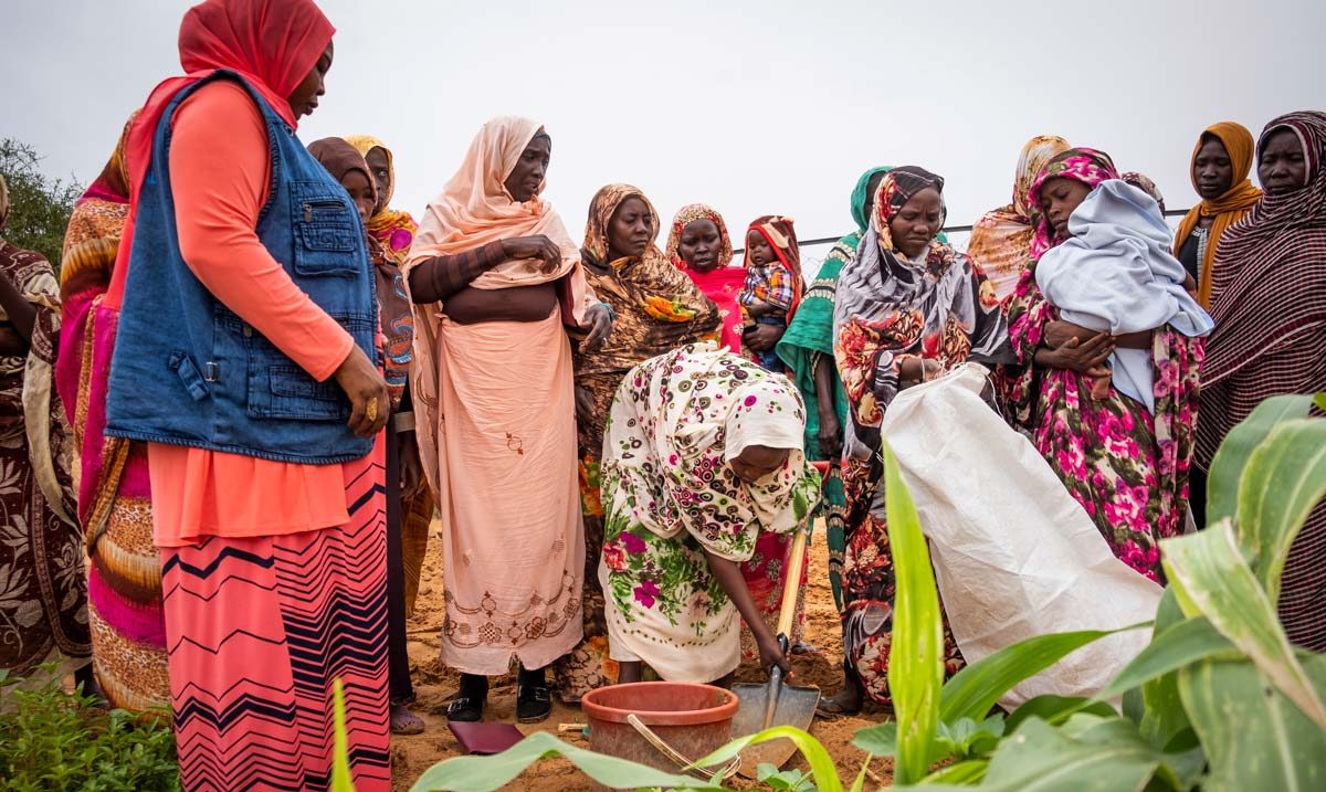 Sudan. Elie Gardner/RI