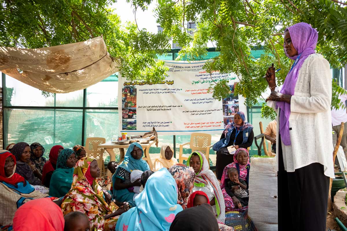 sudan-staff-story-210819-iv.jpg sudan-staff-story-210819-iv.jpg