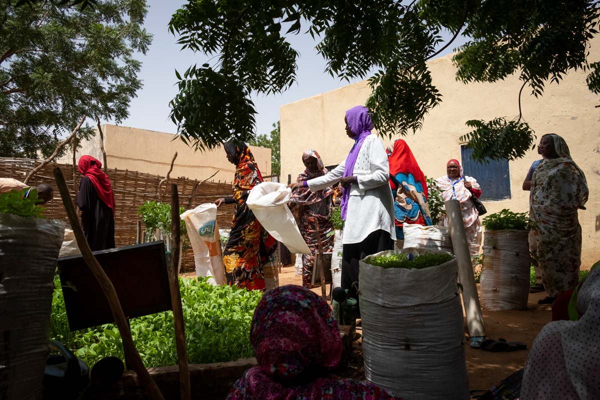 Sudan. Elie Gardner/RI Sudan. Elie Gardner/RI