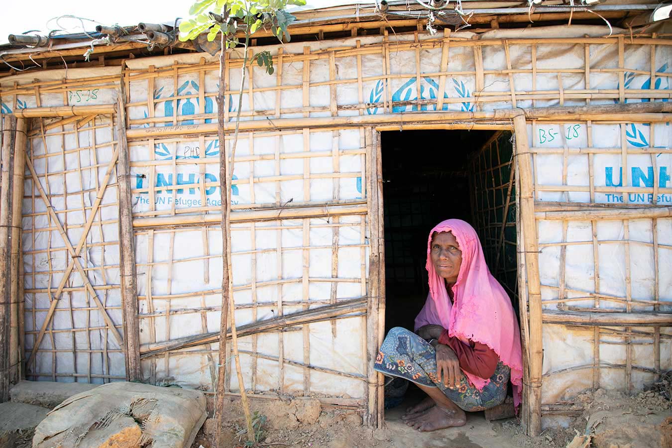 bangladesh-hero-20092019.jpg bangladesh-hero-20092019.jpg