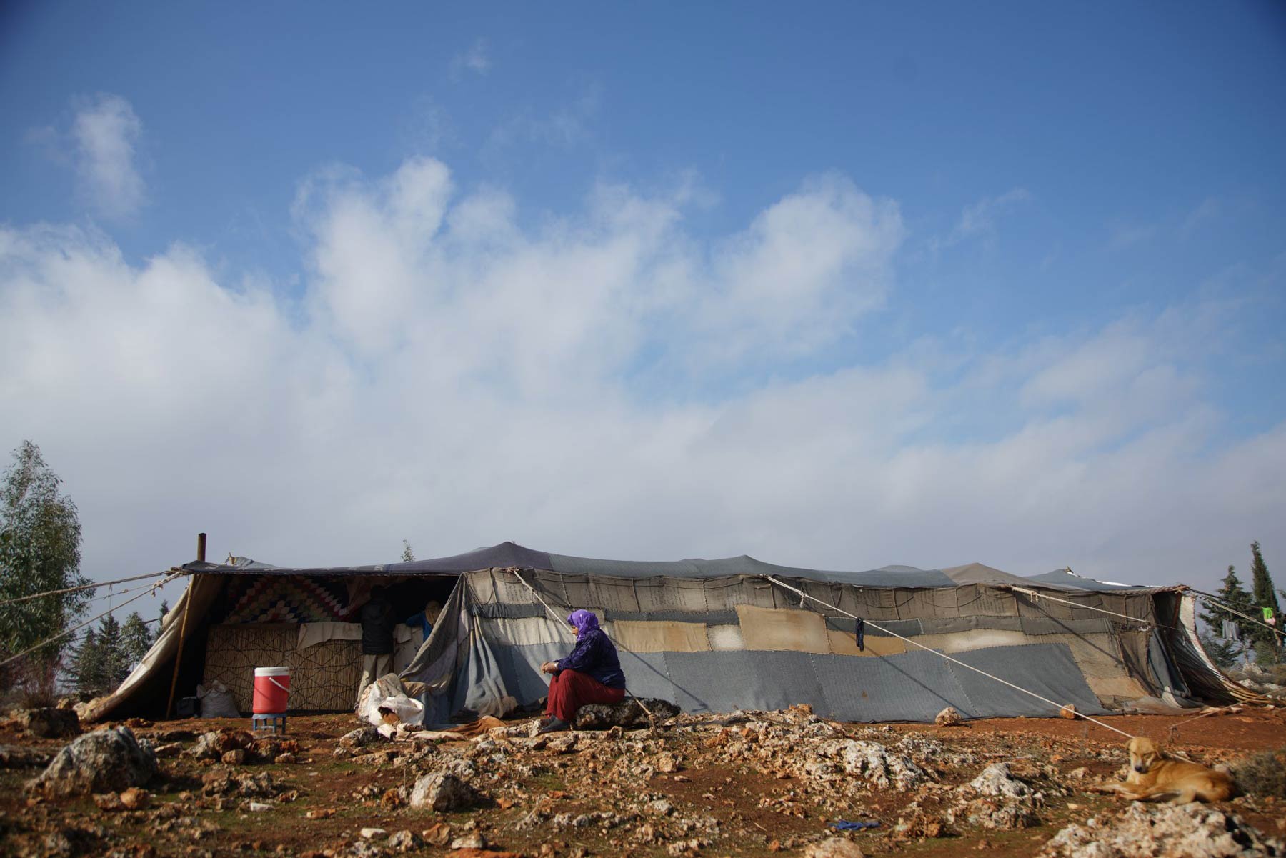 emergency-appeal-syria-15102019.jpg emergency-appeal-syria-15102019.jpg