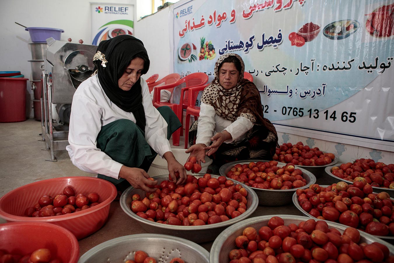 AFG_2019-09-19_0499-2.jpg AFG_2019-09-19_0499-2.jpg