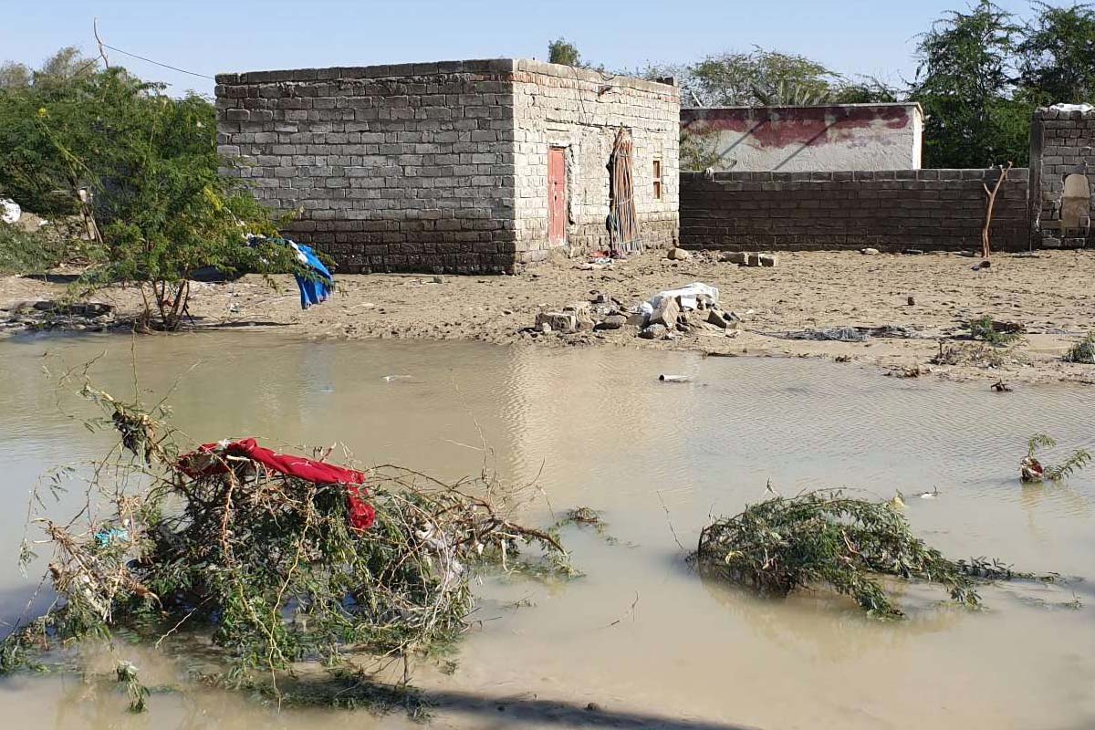 Relief International