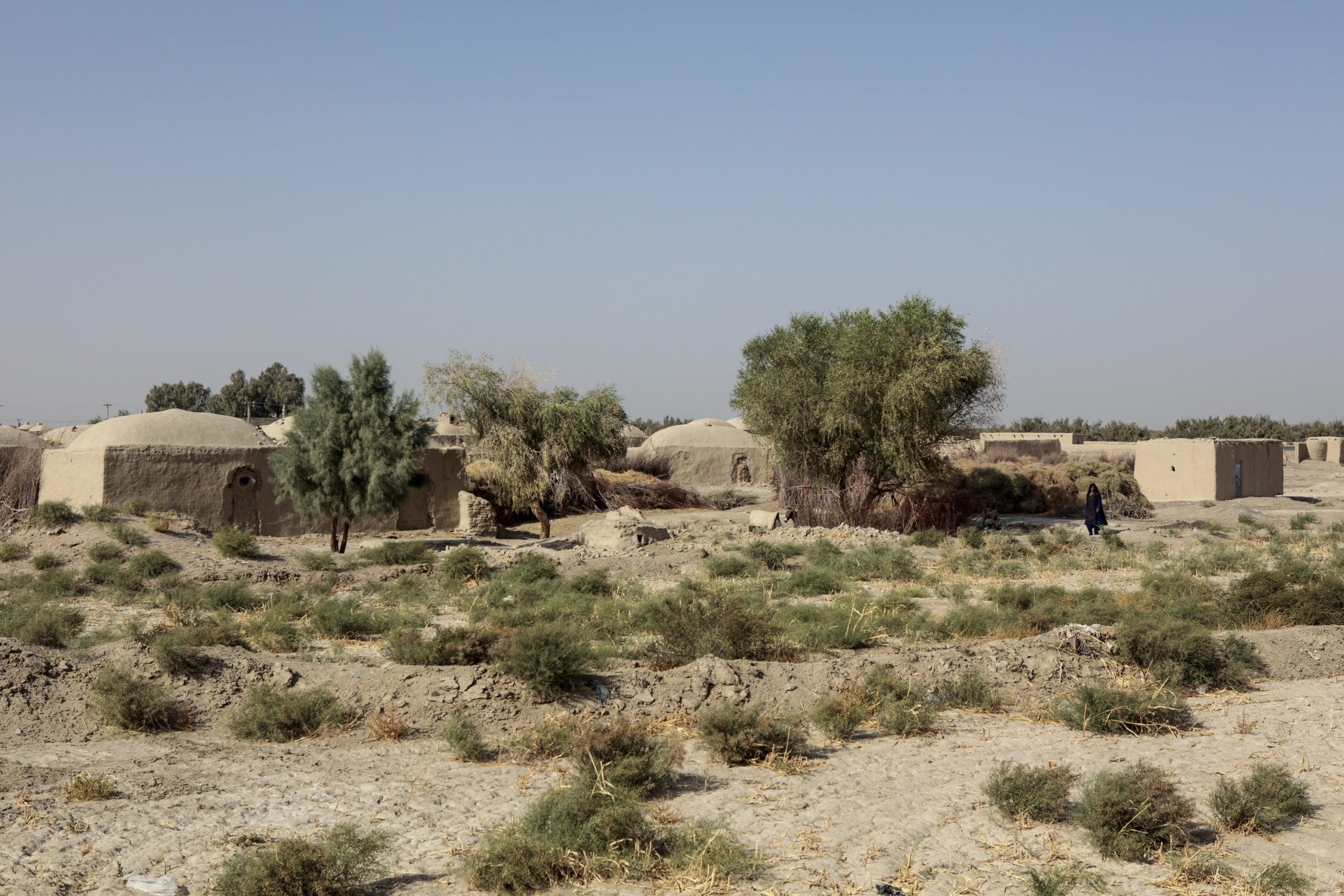 AFG_2019-09-23_415-1-scaled.jpg AFG_2019-09-23_415-1-scaled.jpg