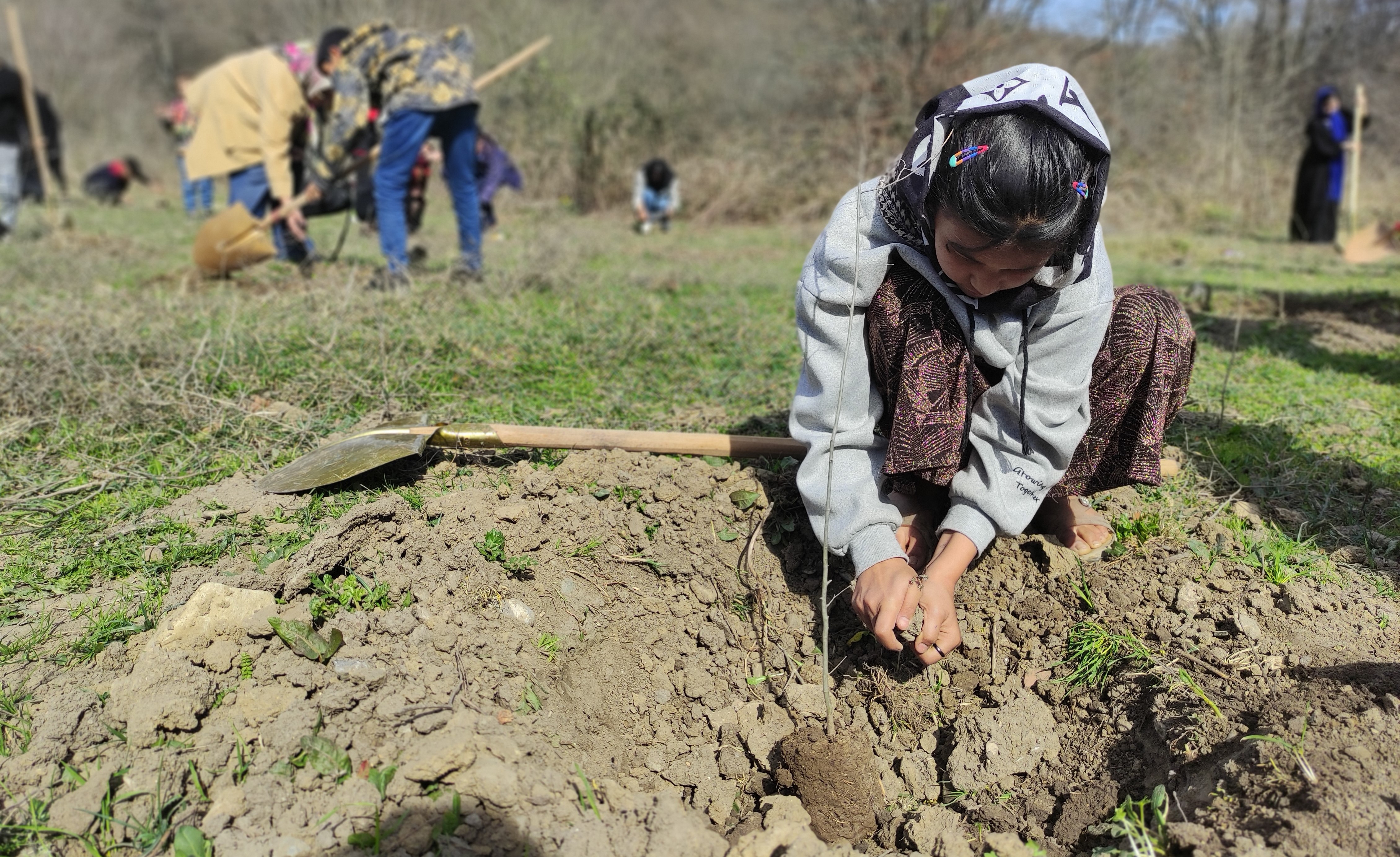 Golestan-Centre-1.jpg Golestan-Centre-1.jpg