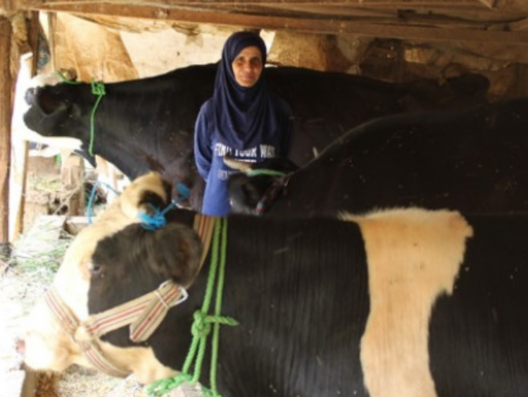 Lebanon-farmers_images_Halima-750x563.png