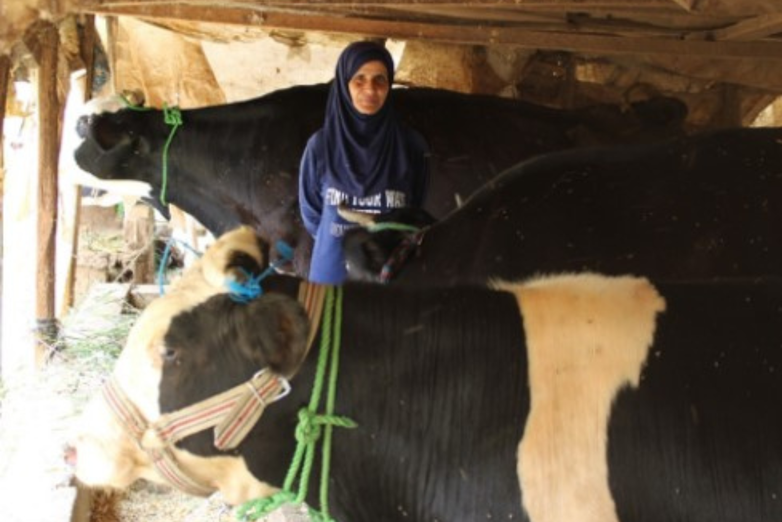 Lebanon-farmers_images_Halima.png